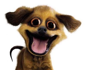 dog.jpg