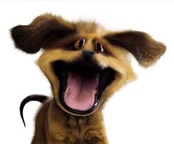 dog_mine.jpg