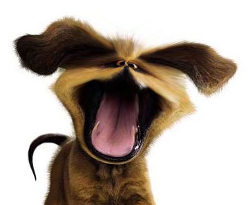 dog_mine_Shrink.jpg