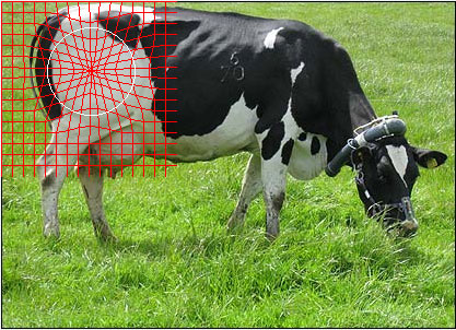 grid_grow.jpg