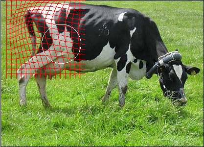 grid_translate.jpg