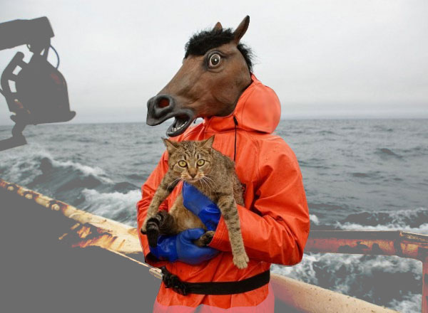 horse_bgs.jpg