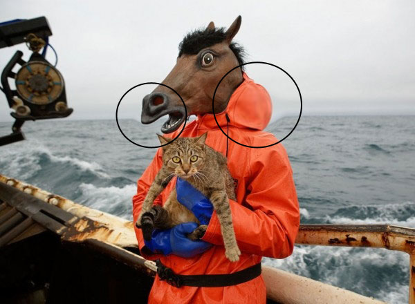 horse_deformed.jpg