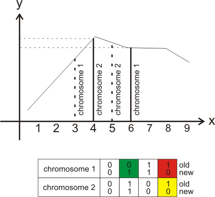 Mutation Operation Examples