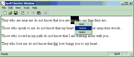 Sample Image - AutoSpellCheck.gif