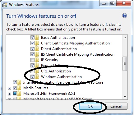 Curious-Case-IIS/WindowsFeatures.jpg