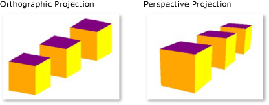Difference between the orthographic and perspective projections.