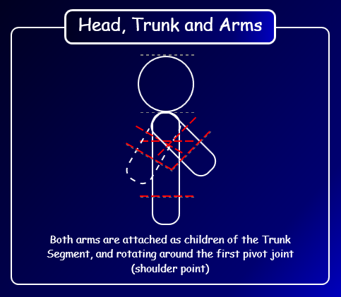 Head, Trunk And Arms