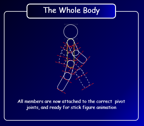 The Whole Body