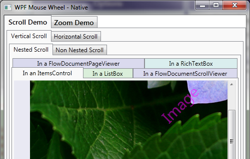 WPF Mouse Wheel - Native