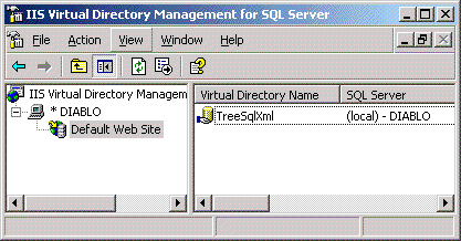 IIS Virtual Directory