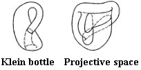 Klein_Bottle_and_Projective_Space.gif