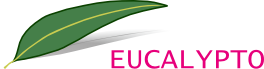 Eucalypto Logo