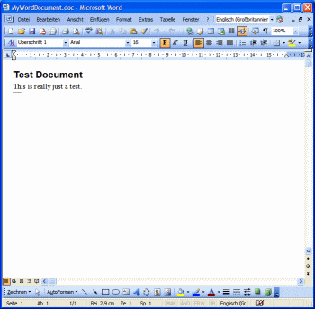 Microsoft Office Word 2003  -  10