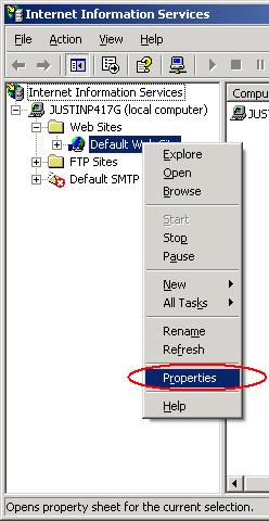 IIS Manager.
