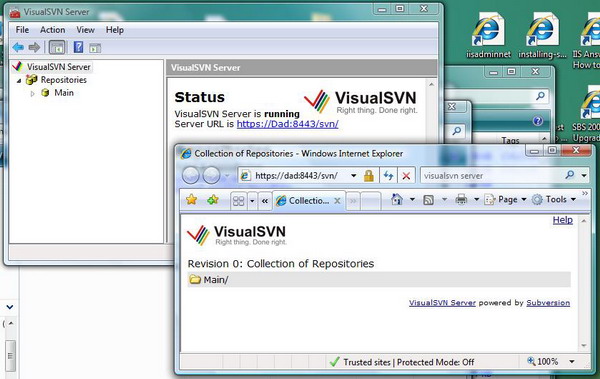 visual svn