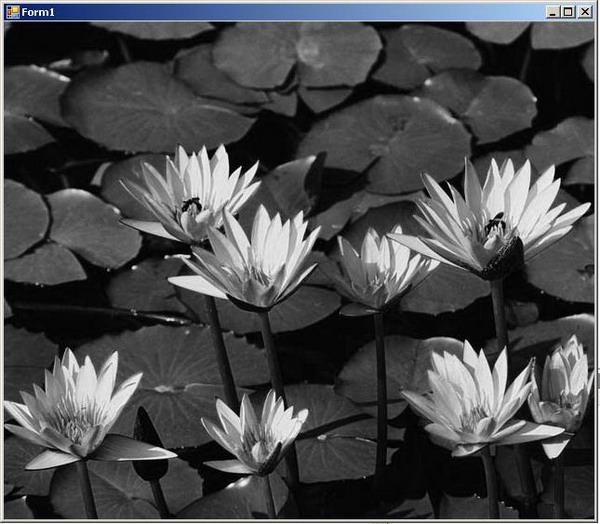 modified image
