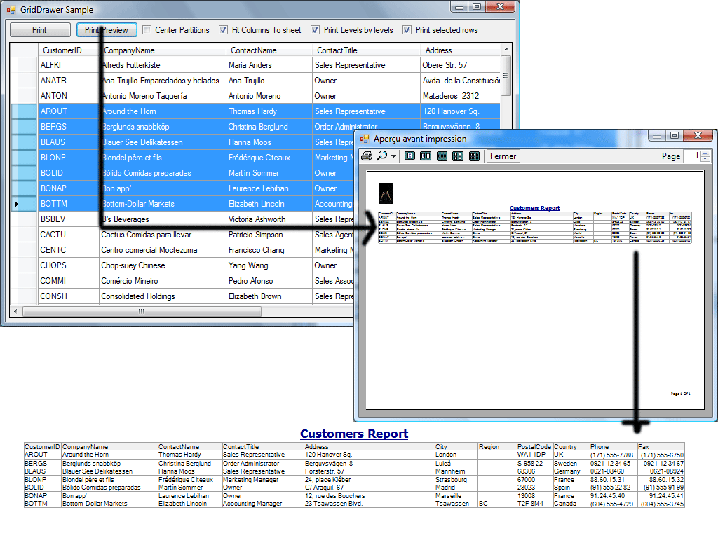 Demo GridDrawer.Net