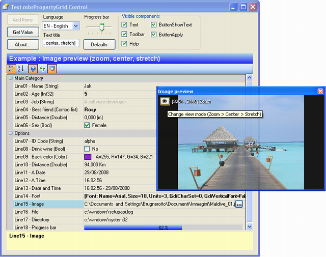 mbrPropertygrid_Preview_10.png