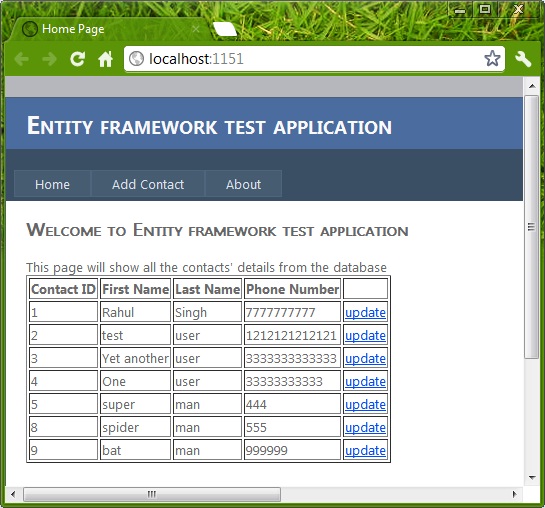 Entity framework article image