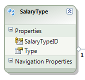Salary Type Entity