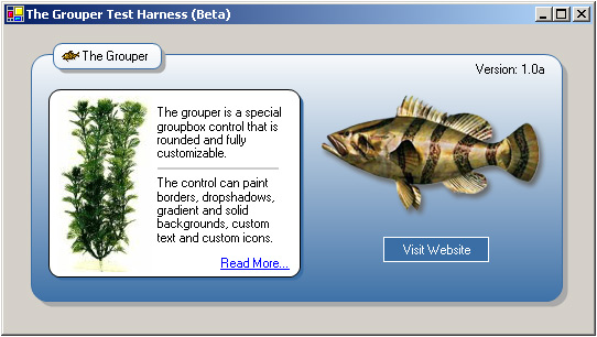 Sample Image - grouperscreenshot.jpg