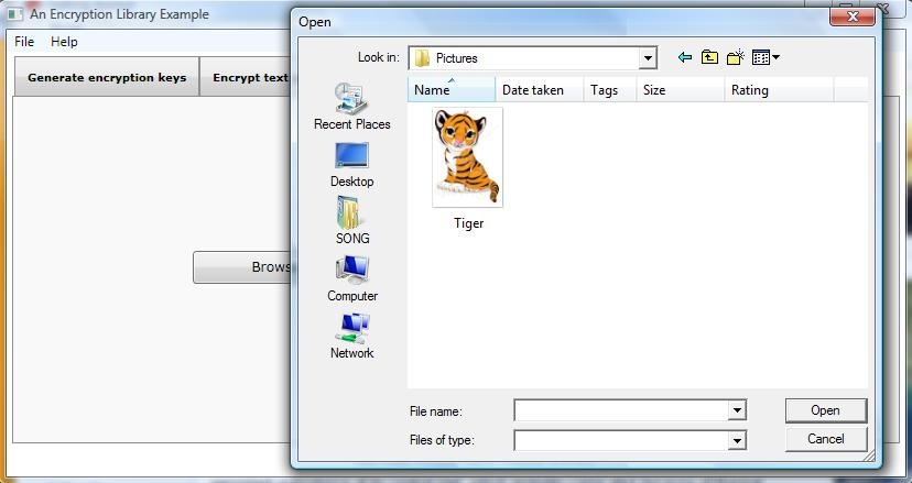 EncryptionResultBinary.jpg