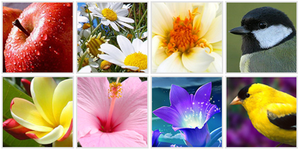 bubuko.com,布布扣