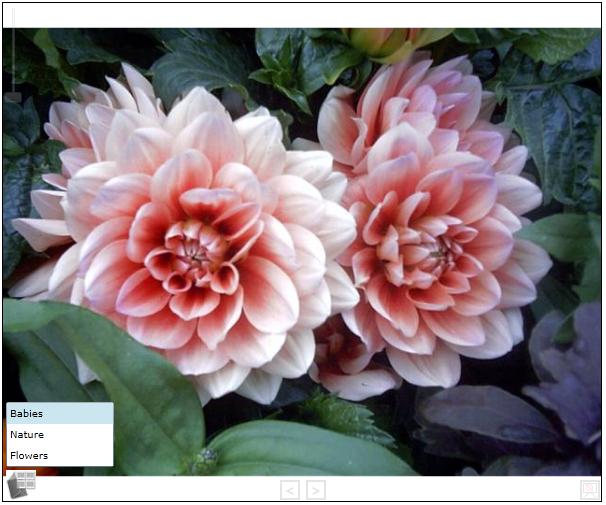 Flowers.JPG