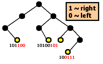 Binary Trie