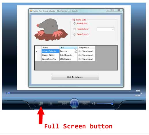 VideoPlayerImage.jpg