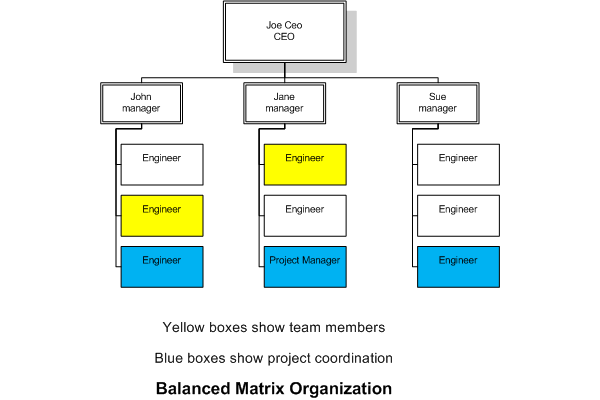 项目管理组织架构