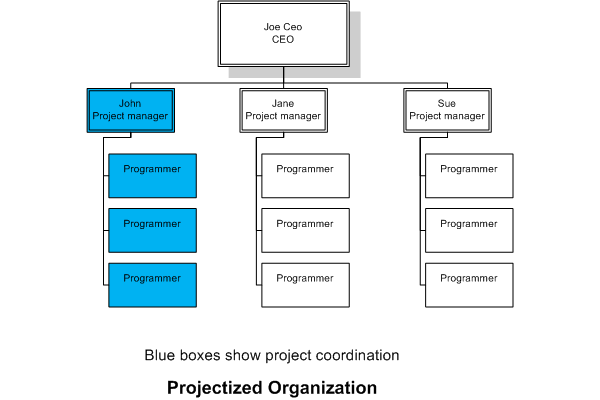 Projectized Organizational Structure