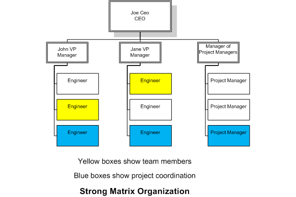 Matrix Management Structure