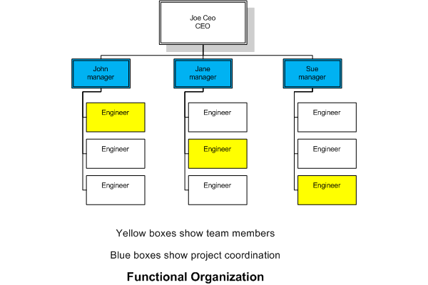 functional organizational structure representation