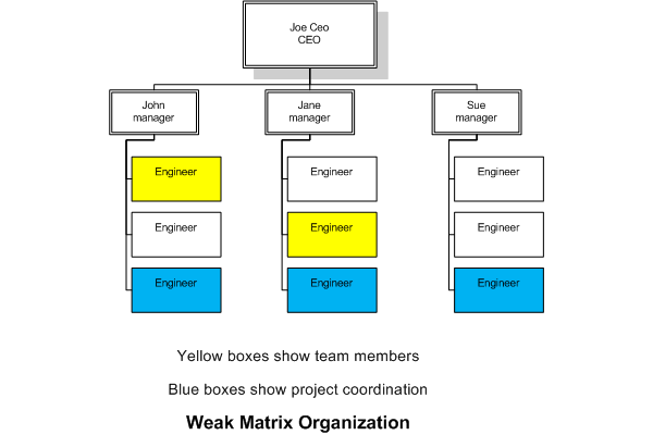 Weak Matrix Organizational Structure