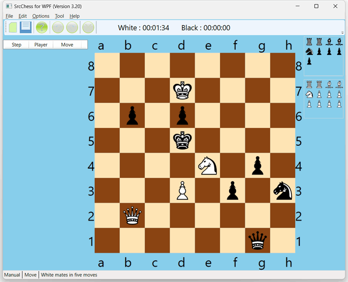 Made a Working version of Chess on a Really Big Board in Python