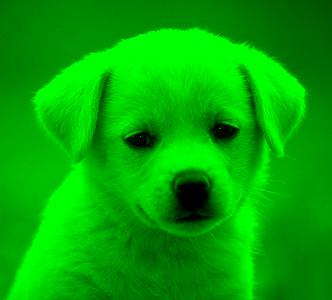 img.jpg
