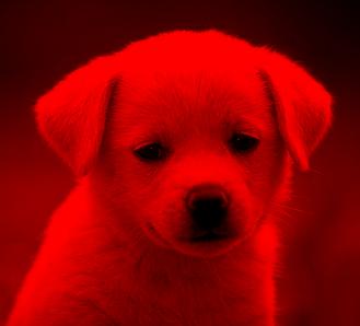 redfilter.jpg