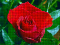 Textile effect