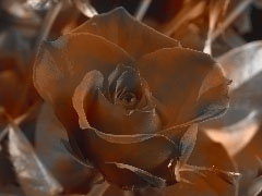 Rusty effect