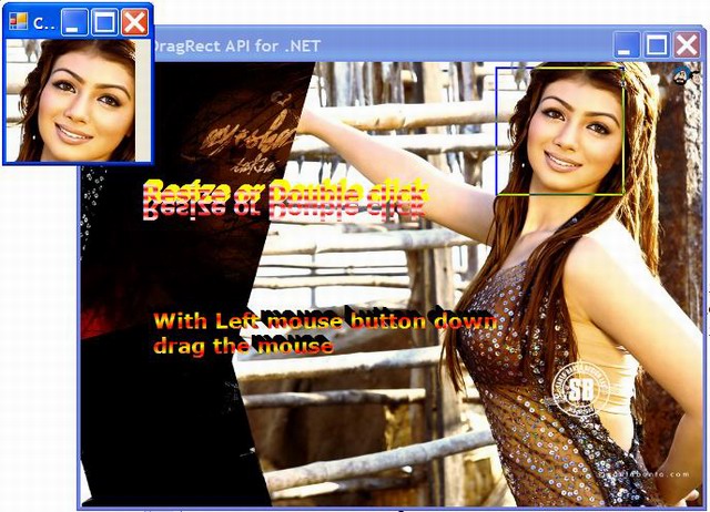 Screenshot - Image.jpg