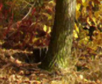 Screenshot - fall_GF.jpg