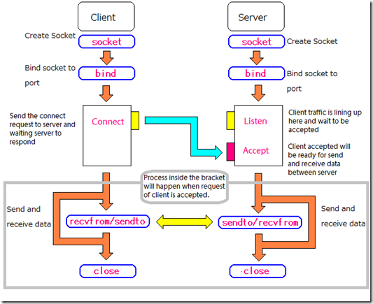 Client Server Socket. Сокет сервера. Сокет это в программировании. Сетевое программирование сокетов.