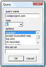 DNS query setup