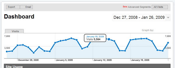 The Google Analytics graphs does not appear. What should I do