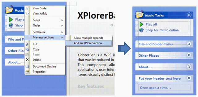 Adding a new XPlorerSection to an XPlorerBar screenshot