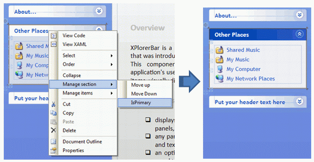 Setting an XPlorerSection as 'Primary' screenshot