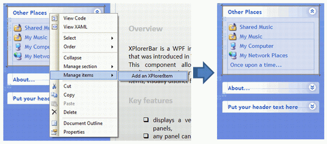 Adding a new XPlorerItem to an XPlorerSection screenshot