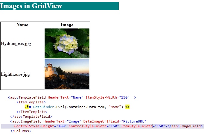 ImageGridView.JPG